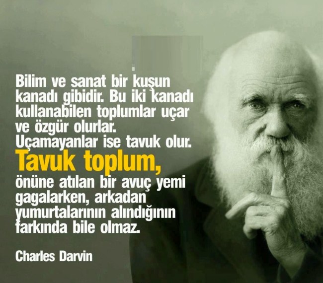 Resim
