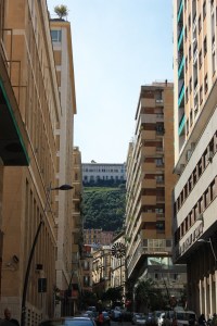 NAPOLİ RÜZGÂR GÜLÜ