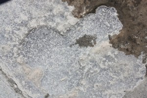 POMPEİ ZEMİN FİGÜR