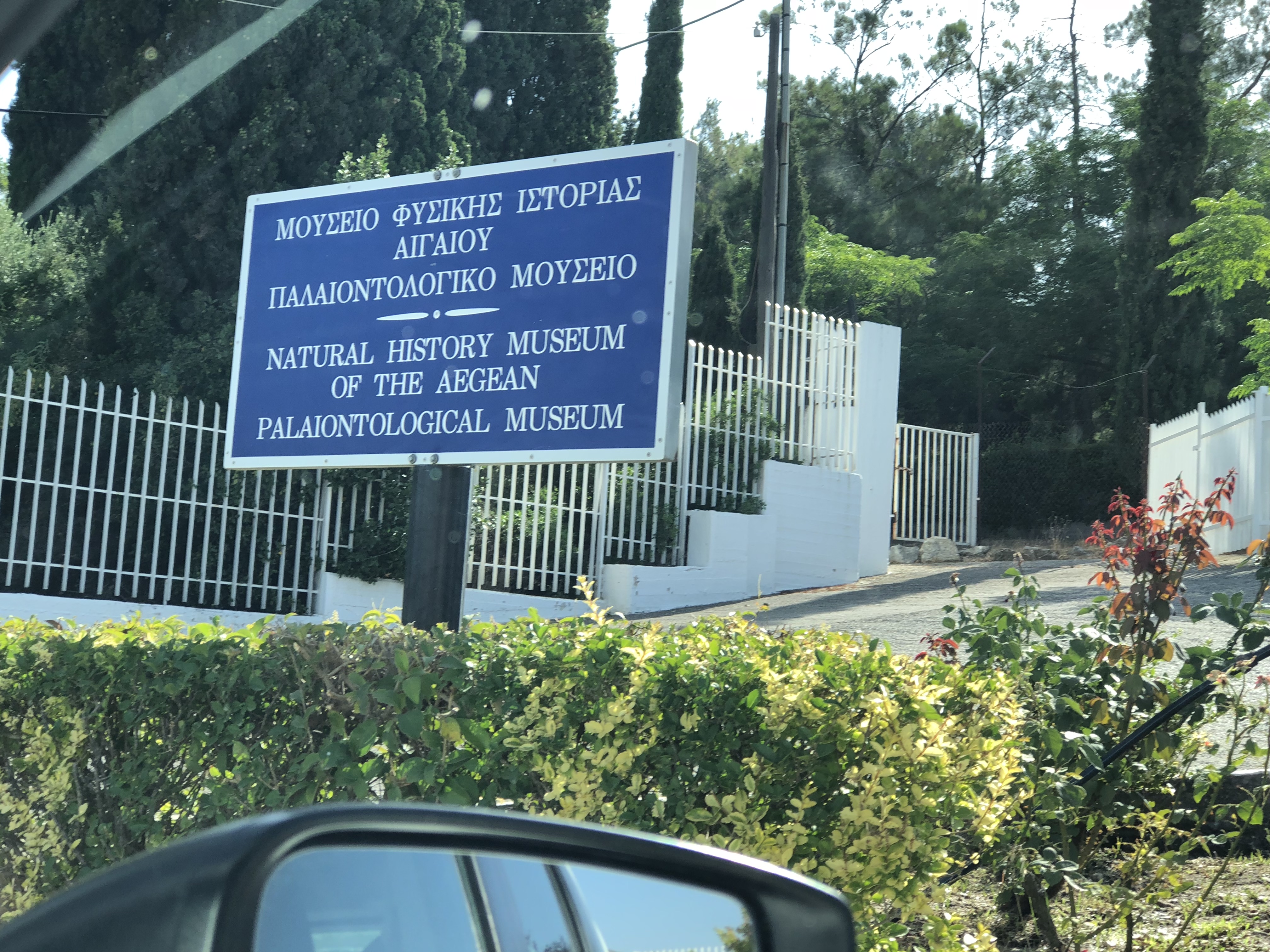 PALEONTOLOJİ MÜZESİ