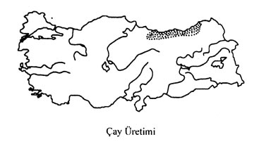 cay-uretimi