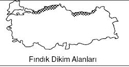 fındık