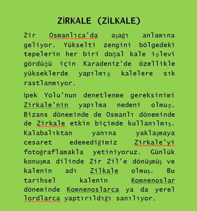 zirkale